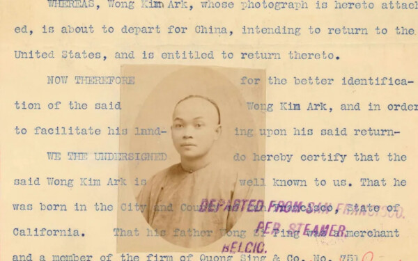 Reverse The Great Replacement By Ending Birthright Citizenship