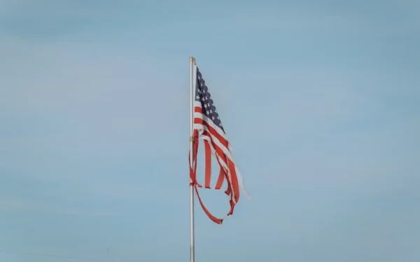The Great American Crisis