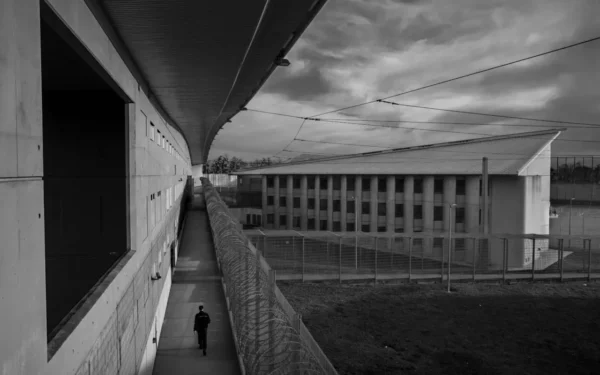 European Prisons and German Decline – TG Review