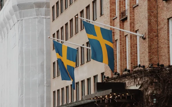 Sweden Can Only Be Cured by Repatriation