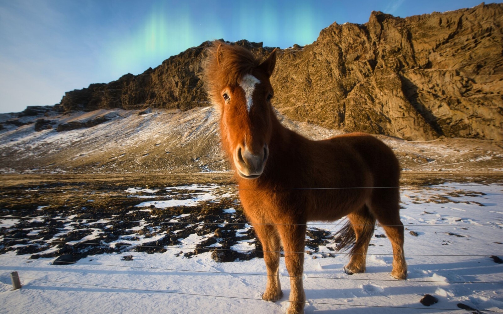 Watch Your Step, Iceland!