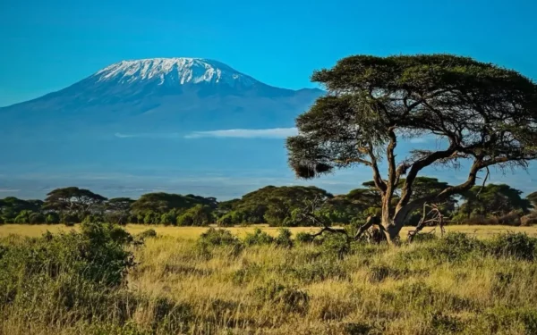 Moving Africa Beyond Western Foreign Aid