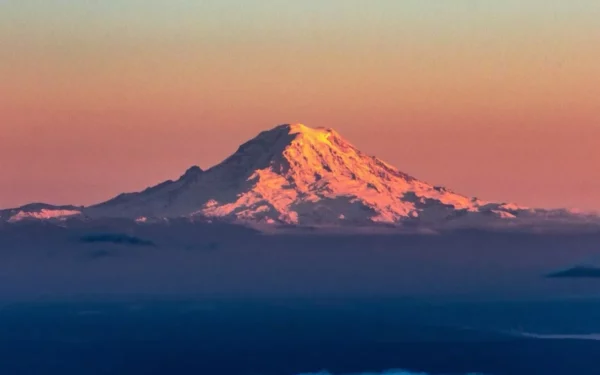 The Great Replacement in Washington State