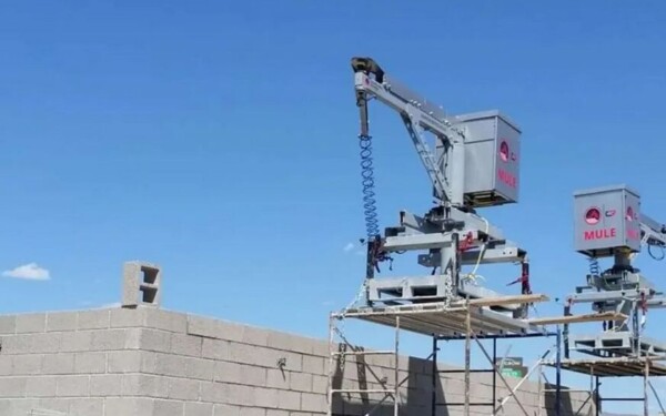 We Can Do the Job Ourselves: Automation is the Alternative to Low-Skill Immigration