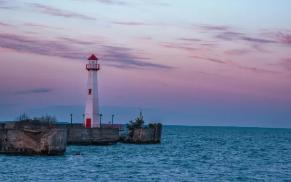 Replacement and Remigration in Michigan