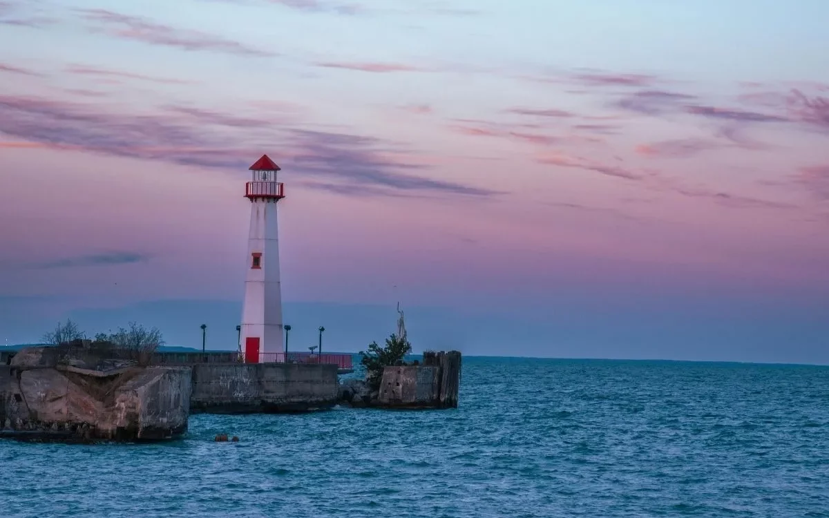 Replacement and Remigration in Michigan