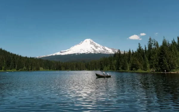 Replacement and Remigration in Oregon